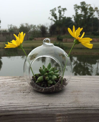 Hanging Tealight Holder Glass