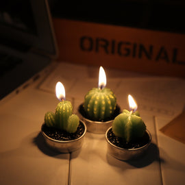 Cactus Shape Candles